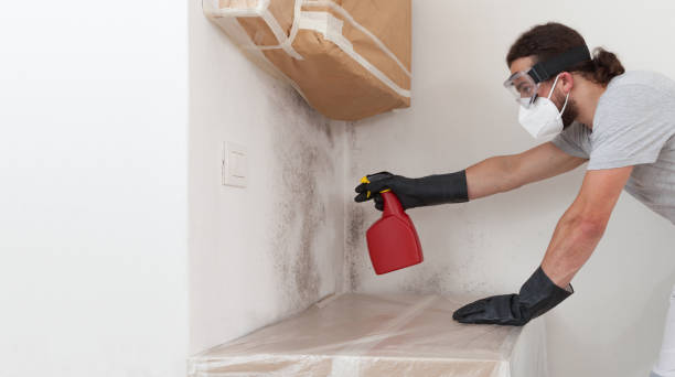 Professional Black Mold Remediation technician working in Spencerville, MD