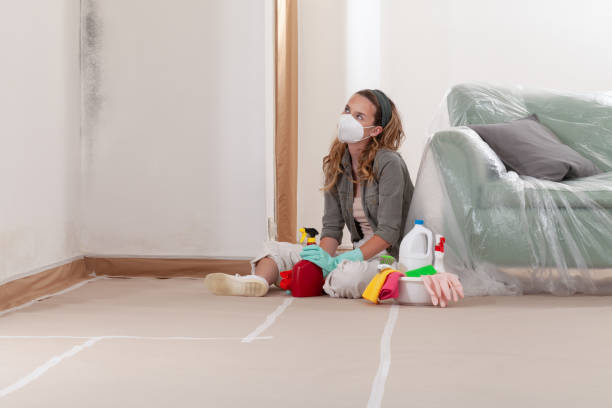 Reliable Black Mold Remediation contractor in Spencerville, MD by Mold Remediation HQ